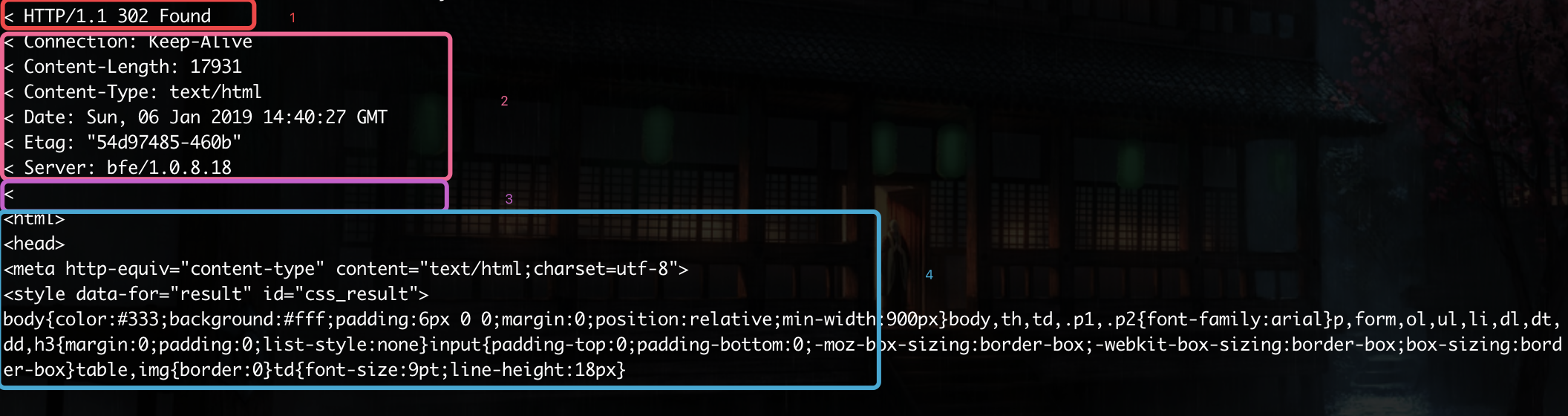 HTTP响应组成